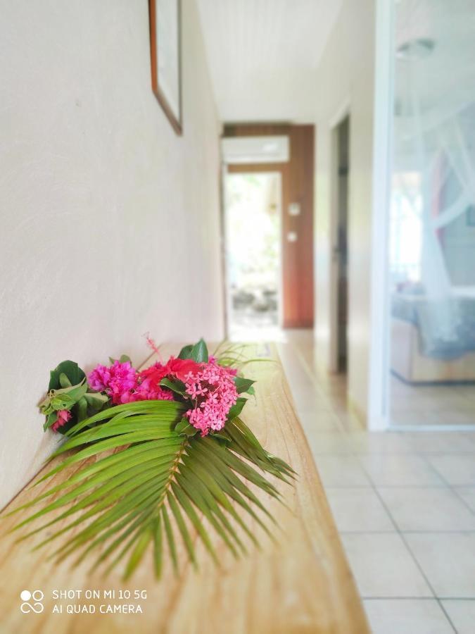 Hotel Le Manguier Morne Pavillon Dış mekan fotoğraf