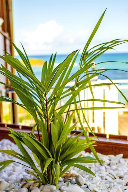 Hotel Le Manguier Morne Pavillon Dış mekan fotoğraf